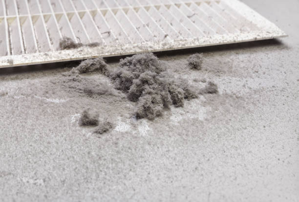 Best HVAC Duct Inspection Services  in Red Bank, SC